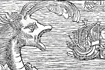 Olaf Stor (Olao Magno) Historia delle genti et della natura delle cose settentrionali Venetia, nella stamperia di D. Nicolini, 1565.